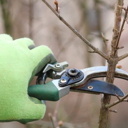Close-up,Of,A,Farmer’s,Hand,In,A,Green,Work,Glove