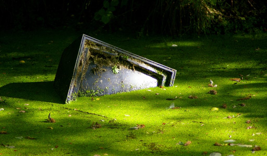 The regime slop of daytime TV