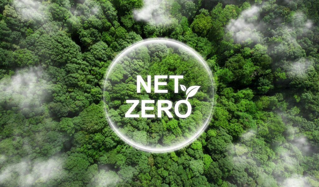 The secret costs of net zero